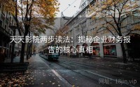 天天影院两步读法:揭秘企业财务报告的核心真相
